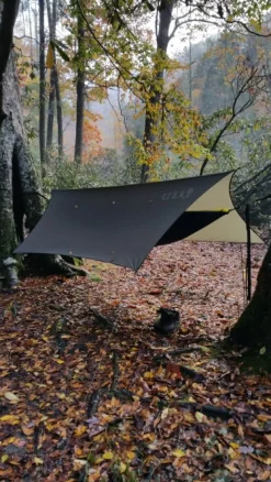 Eno Profly Olive