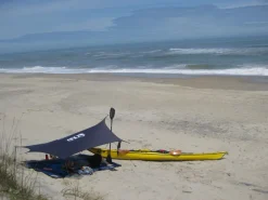 Eno Profly Olive
