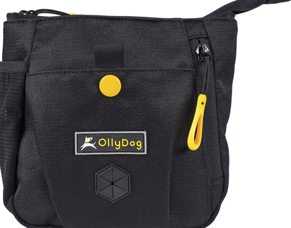 Ollydog Backcountry Day Bag Vyolaukku Raven