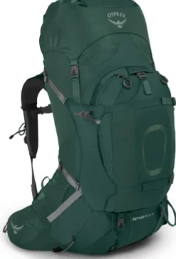 Osprey Aether Plus 60 Axo Green