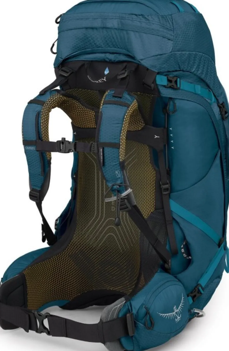 Osprey Atmos Ag 65 Rinkka, Petrooli