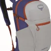 Osprey Daylite Plus Reppu, Silver Lining/Blueberry