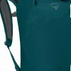 Osprey Transporter Roll Top Wp 30 Reppu Rullasulkimella, Petrooli