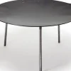 Petromax Griddle And Fire Bowl 48 Cm Fs48