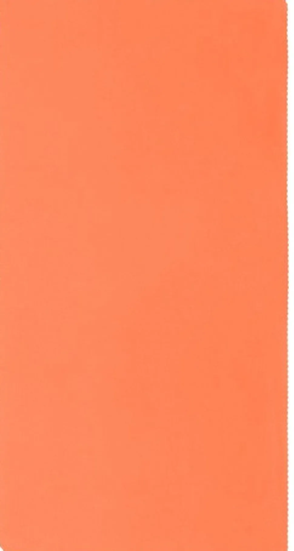Sea To Summit Towel Airlite Large 120X60Cm Outback Minimalistinen Pyyhe, Oranssi